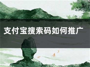 支付宝搜索码如何推广