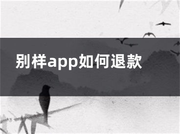 别样app如何退款