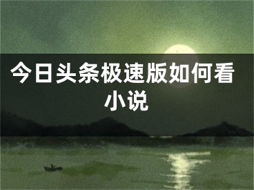 今日头条极速版如何看小说