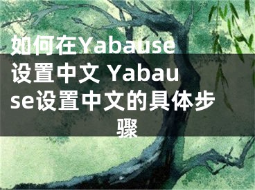 如何在Yabause设置中文 Yabause设置中文的具体步骤