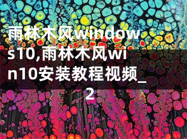 雨林木风windows10,雨林木风win10安装教程视频_2