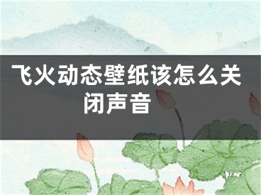 飞火动态壁纸该怎么关闭声音 