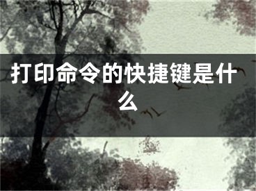 打印命令的快捷键是什么