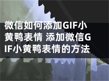 微信如何添加GIF小黄鸭表情 添加微信GIF小黄鸭表情的方法