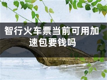 智行火车票当前可用加速包要钱吗