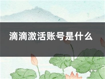 滴滴激活账号是什么