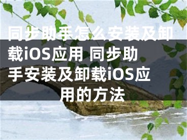 同步助手怎么安装及卸载iOS应用 同步助手安装及卸载iOS应用的方法