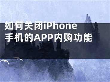 如何关闭iPhone手机的APP内购功能 