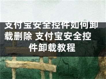 支付宝安全控件如何卸载删除 支付宝安全控件卸载教程