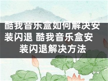 酷我音乐盒如何解决安装闪退 酷我音乐盒安装闪退解决方法