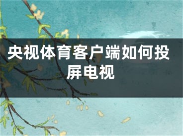 央视体育客户端如何投屏电视