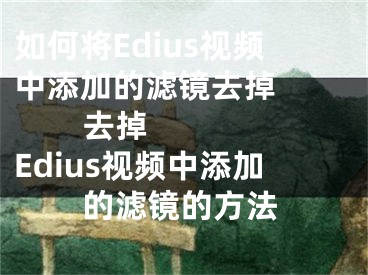 如何将Edius视频中添加的滤镜去掉          去掉Edius视频中添加的滤镜的方法