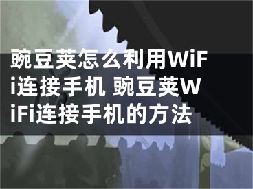 豌豆荚怎么利用WiFi连接手机 豌豆荚WiFi连接手机的方法