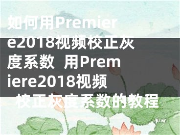 如何用Premiere2018视频校正灰度系数  用Premiere2018视频校正灰度系数的教程