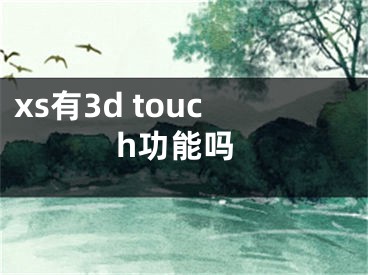 xs有3d touch功能吗