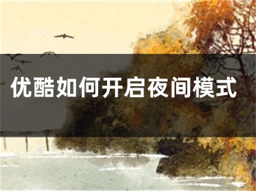 优酷如何开启夜间模式