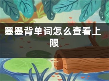 墨墨背单词怎么查看上限