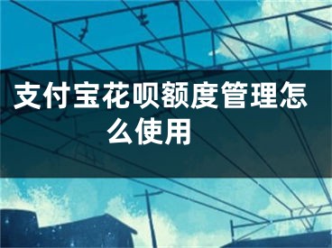 支付宝花呗额度管理怎么使用 