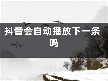 抖音会自动播放下一条吗