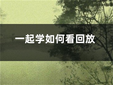 一起学如何看回放