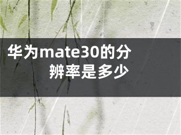 华为mate30的分辨率是多少