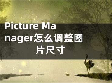 Picture Manager怎么调整图片尺寸 