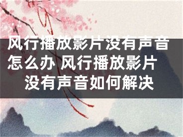 风行播放影片没有声音怎么办 风行播放影片没有声音如何解决