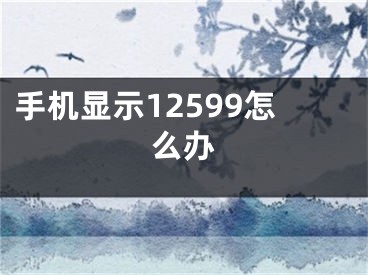 手机显示12599怎么办