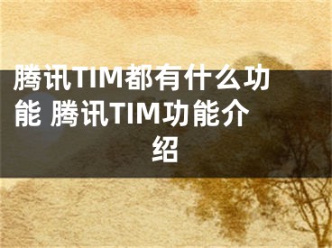 腾讯TIM都有什么功能 腾讯TIM功能介绍