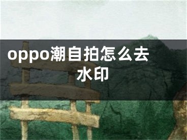 oppo潮自拍怎么去水印