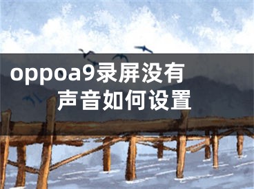 oppoa9录屏没有声音如何设置