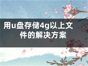 用u盘存储4g以上文件的解决方案