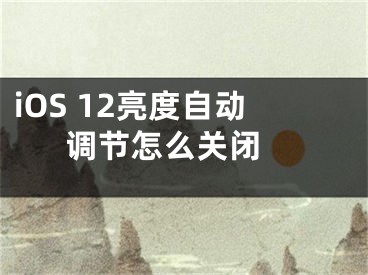 iOS 12亮度自动调节怎么关闭 