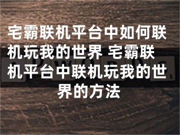 宅霸联机平台中如何联机玩我的世界 宅霸联机平台中联机玩我的世界的方法