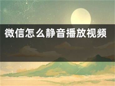 微信怎么静音播放视频 