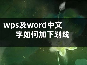 wps及word中文字如何加下划线