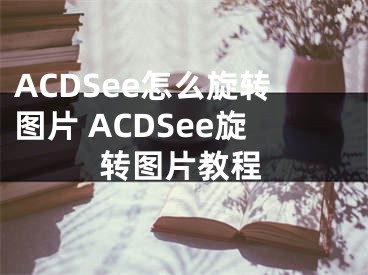 ACDSee怎么旋转图片 ACDSee旋转图片教程