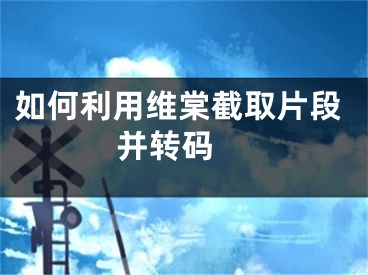 如何利用维棠截取片段并转码 