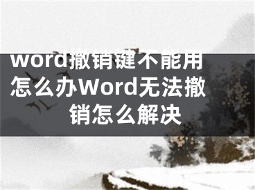 word撤销键不能用怎么办Word无法撤销怎么解决