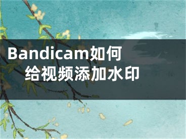 Bandicam如何给视频添加水印 