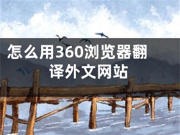 怎么用360浏览器翻译外文网站