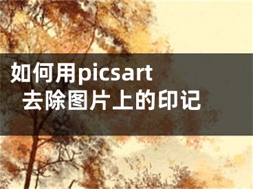 如何用picsart去除图片上的印记 