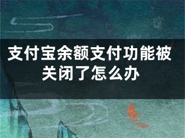 支付宝余额支付功能被关闭了怎么办