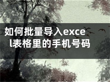 如何批量导入excel表格里的手机号码