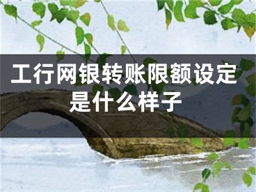 工行网银转账限额设定是什么样子