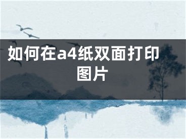 如何在a4纸双面打印图片