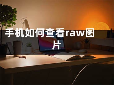 手机如何查看raw图片