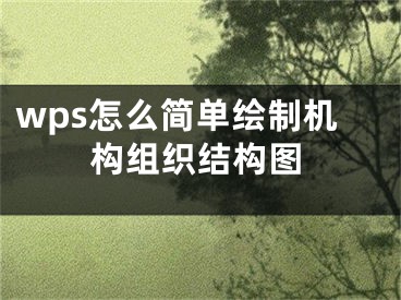 wps怎么简单绘制机构组织结构图