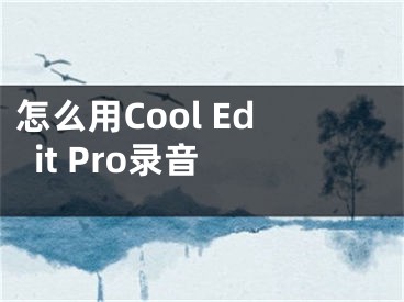 怎么用Cool Edit Pro录音 