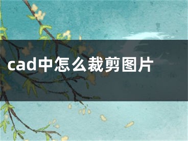 cad中怎么裁剪图片